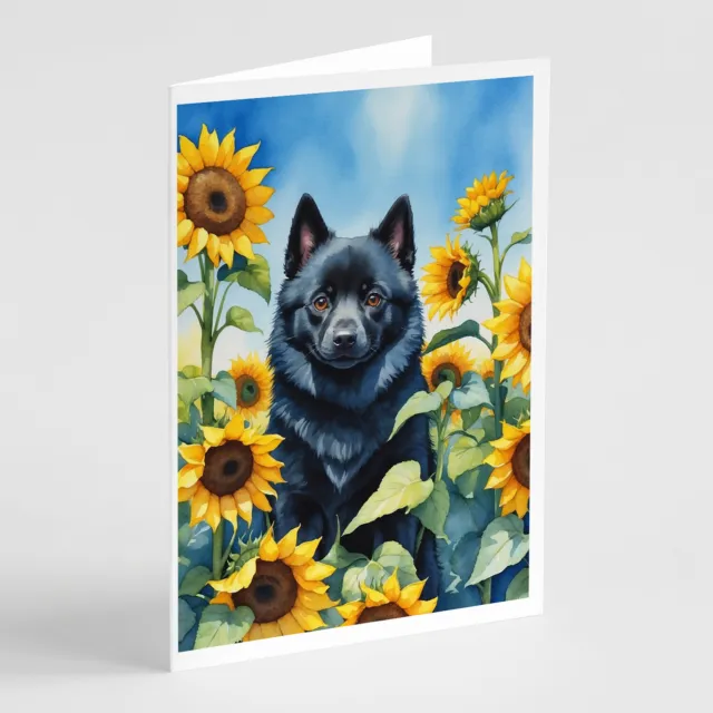 Schipperke in Sunflowers Greeting Cards Envelopes Pack of 8 DAC6155GCA7P
