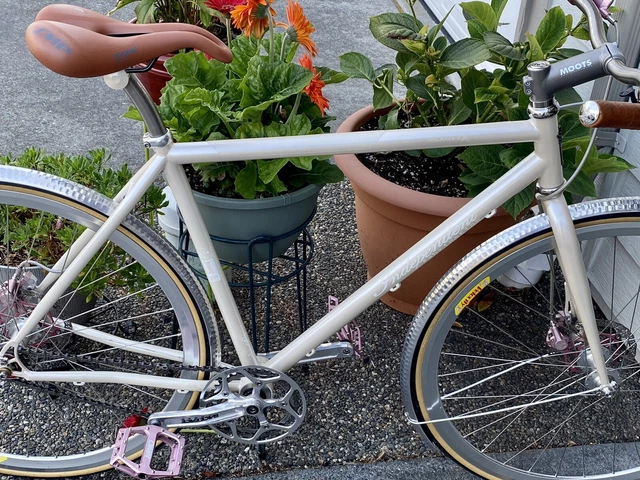 Planet x sales single speed