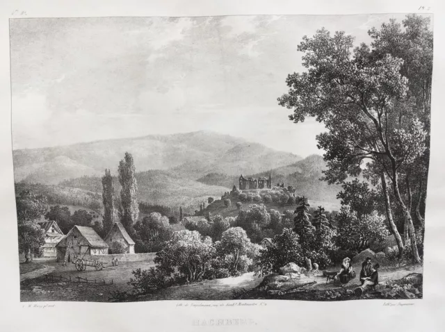 Burg Hochburg Emmendingen Ansicht Lithographie Engelmann Ring 1829