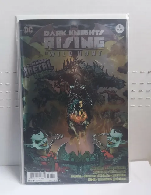 Dark Knights Rising The Wild Hunt 1 (2018, Dc Comics)