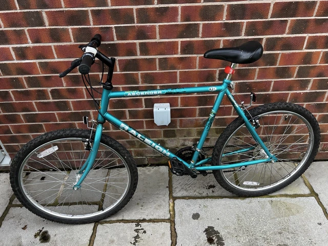 Raleigh ascender hot sale mountain bike