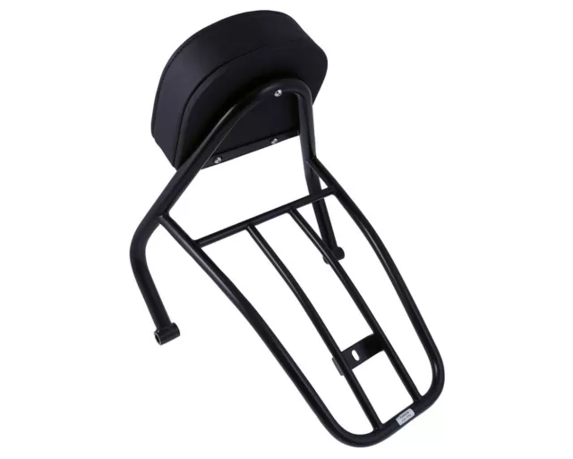 Sissy Bar pilote, porte-bagages compatible avec HD Sportster 48 (XL1200X) 2010- 3