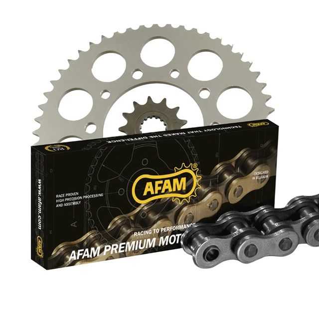 Kit Catena Afam In Acciaio Per Yamaha XJR 1300 (SP) 1998-2001 – Pignone, Corona E Catena