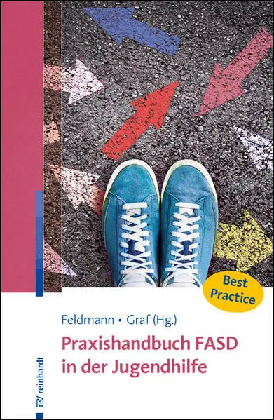 Praxishandbuch FASD in der Jugendhilfe | 2022 | deutsch