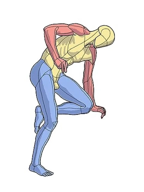 HOW TO DRAW Illustration Art Anatomy of Pose Collection Guide Book ...