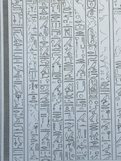 Planche d'équilibre Softee Premium Planche d'équilibre Softee Premium