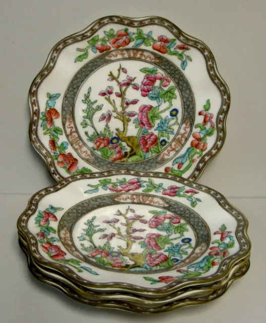 Coalport INDIAN TREE MULTICOLOR (SCALLOPED OLDER) Large Dinner Plates SETS of 4