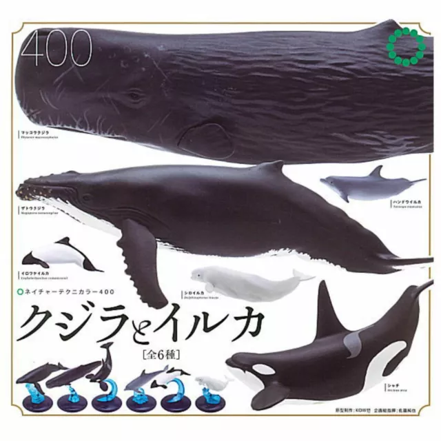 Nature Techni colour 400 Whale & Dolphin Capsule Toy 6 Types Full Comp Set Gacha