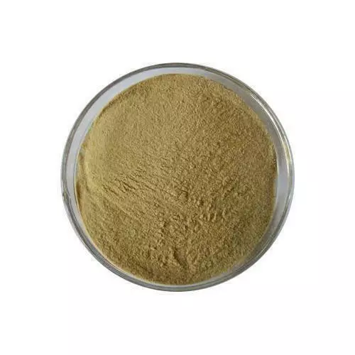 Stinging Nettle  20:1 Root  Extract Powder     Natural Organic Herbal Powder