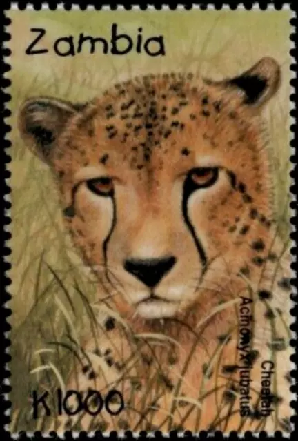 Zambia #SG827 MNH 2001 Animals Cheetah [918]