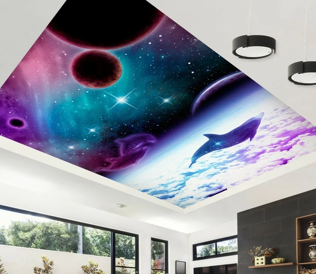 Papier peint 3D Dolphin NA6457 plafond peintures murales