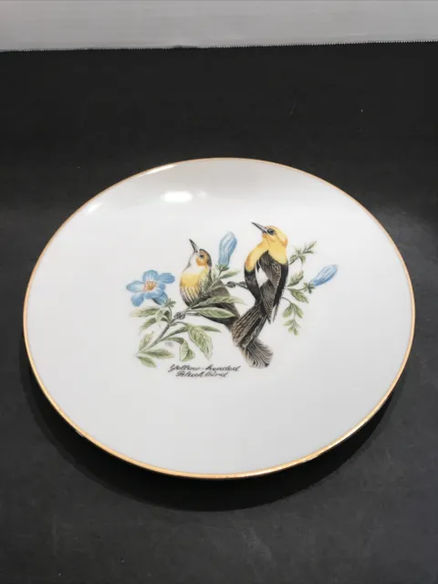 Vintage Bareuther Waldsassen Bavaria Germany Plate 8" Yellow Headed Black Bird