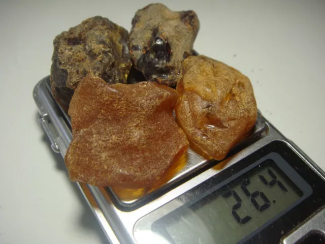 AMBER / raw baltic stones bernstein natural bursztyn baltycki genuine 琥珀 (e649