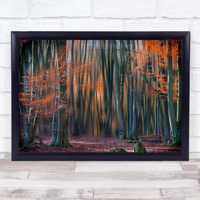 Enchanted Forest Autumn Tree Blur Leaves Fall Red Woods Wall Art Print