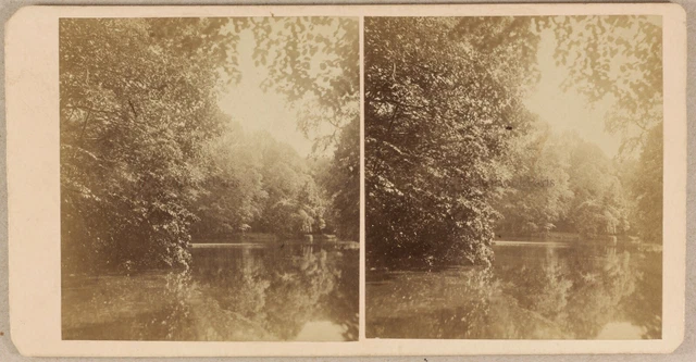 Landschaft Porträt c1880 Foto Brut den Haag Niederlande Stereo Vintage Albumin