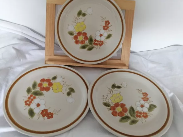 3 Mountain Wood Collection Stoneware Trellis Blossom Dinner Plates Vintage Retro