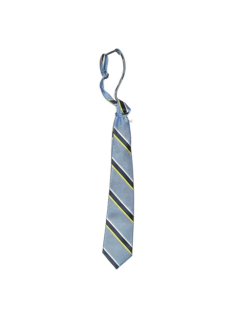 The Children's Place Boys Blue Necktie 24 Months
