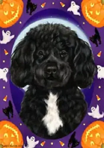 Halloween Garden Flag - Bearded Black and White Portuguese Water Dog 129111