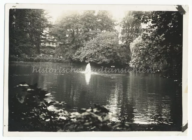 Königstein En Taunus 1929 - Mujer Joven antes De Bergruine - Antiguo Foto 1920er