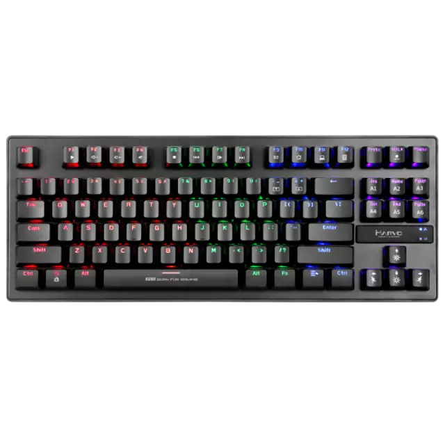 Compact Gaming Mechanical Keyboard Rainbow RGB Backlit LED Blue Switch 87 Keys