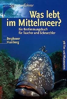 Was lebt im Mittelmeer? von Bergbauer, Matthias, Humberg... | Buch | Zustand gut