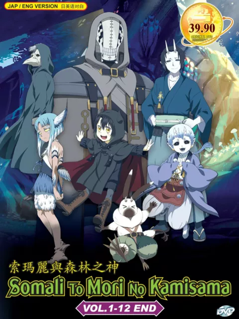 DVD Anime Kamisama Ni Natta Hi (Vol.1-12 End) English Dubbed