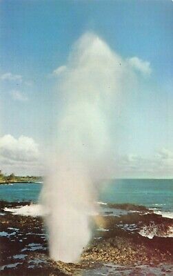 Spouting Horn Kauai Hawaii Sea Water Geyser Vintage Postcard G01