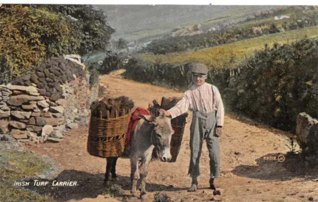 Old Tropigraphical Postcard Ireland  Donkey Unused Used Good Plus