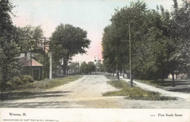 First South Street Wenona Illinois IL Dirt Road 1907 Postcard