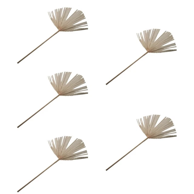 5 pz foglie di palma essiccate sfondo decorazione matrimonio festa foglia di palma decorativa