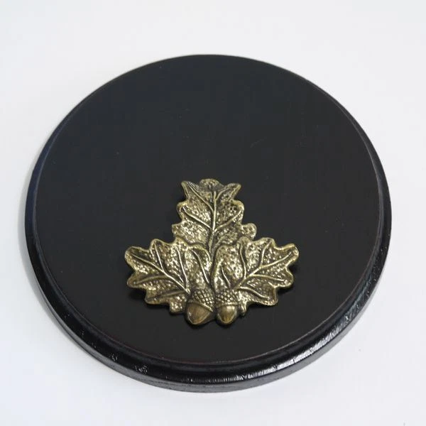 Placa de Jabalí Tablero Keiler Af 13 CM Escudo Trofeo Oscuro Hoja Roble Portada