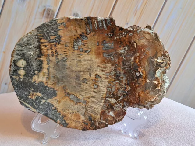 Petrified Fossil Wood Crystal Slab Healing Past Lives 18X 13 X 2.5cm Aprx1.5kg