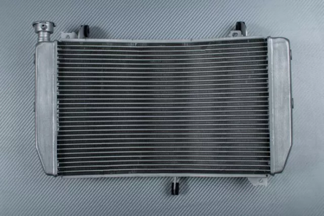 Radiateur d Eau Type Origine en Aluminium YAMAHA YZF R1 YZF-R1 2015-2019