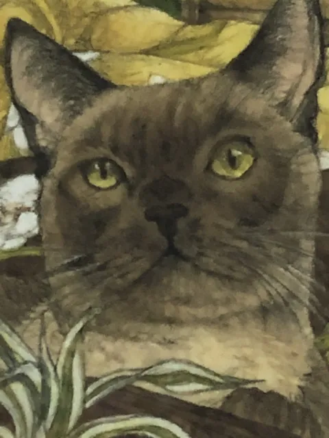 Beautiful Burmese Cat Art Giclee Print Nicely Framed