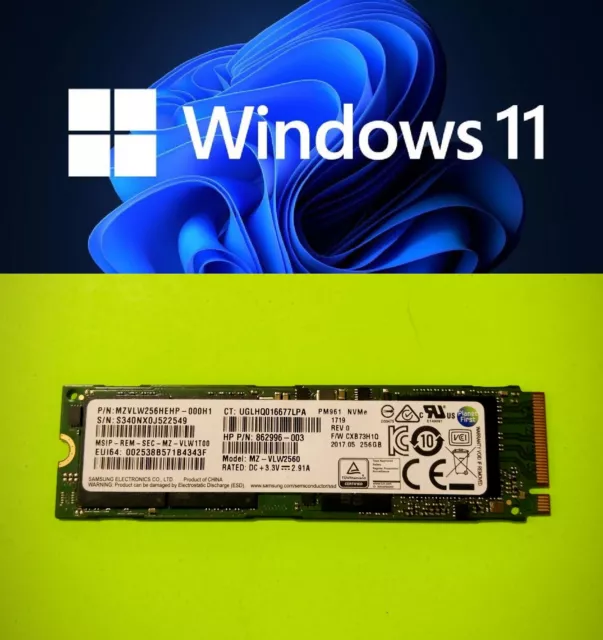 256GB 256 GB M.2 2280 SSD Solid State Drive with Windows 11 Pro UEFI [ACTIVATED]