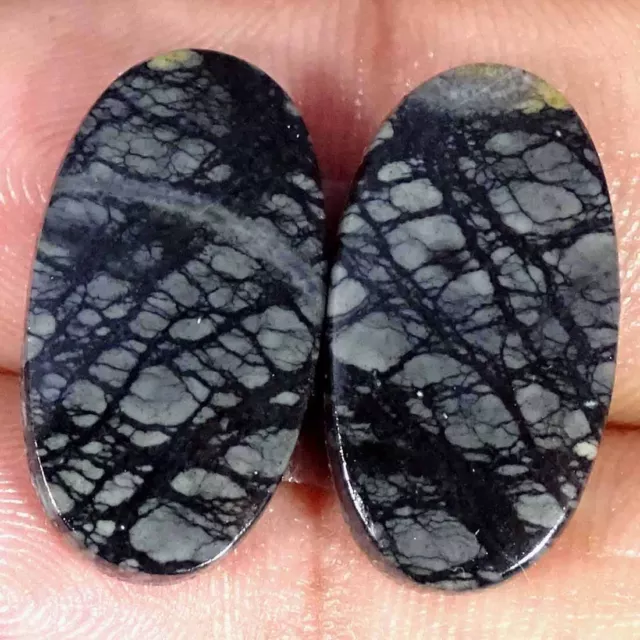 17.50Cts Natural Picasso Jasper Cabochon Loose Gemstone Oval Pair