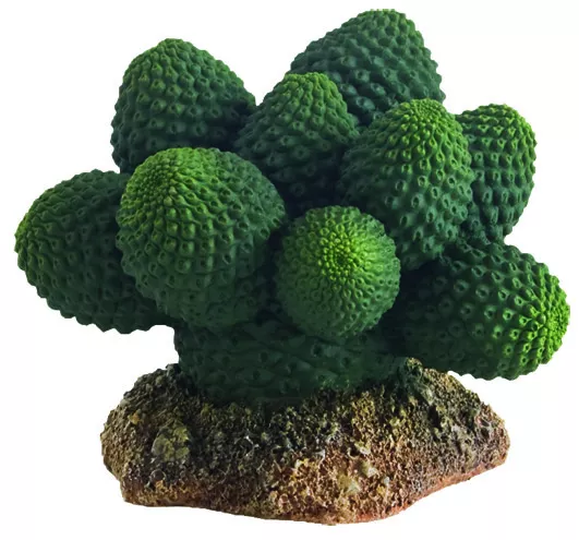 Hobby künstlicher Terrarium Kaktus / Kakteen Atacama 7cm Deko Terrarien Pflanze