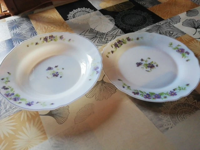 Lot De 2 Plats Arcopal Vintage – Motif Oignons Bleus – Fabriqué En France – 1980