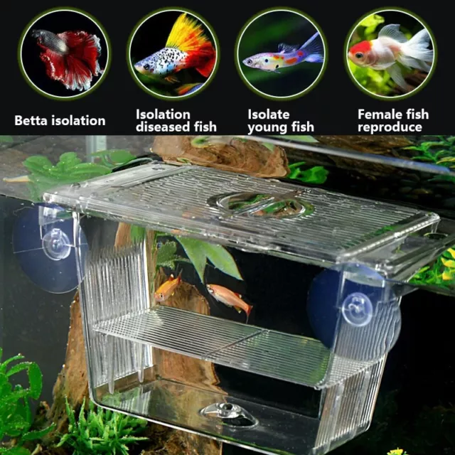 Acrylic Fish Tank Breeding Box Baby Fish Separator Aquarium Isolate Hatchery Fun