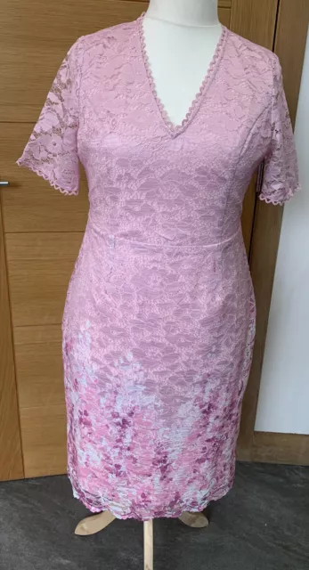 RRP£89 BNWT Wallis Printed Lace Short Sleeve Midi Dress Blush Sz16