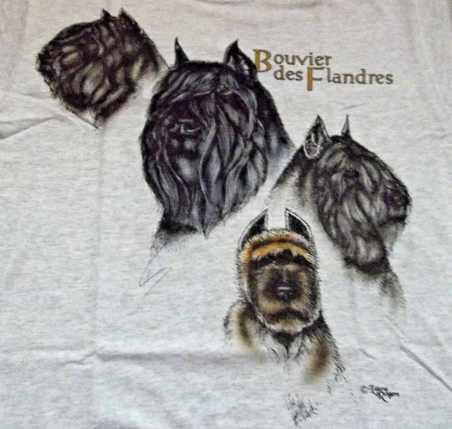 Bouvier des Flandres T-shirt Size SM 34/36 - Ash