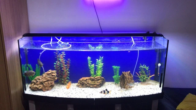 fish tank with cabinet collection only 