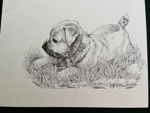 Norfolk Terrier Puppy Original Pen and Ink By Van Loan on Board