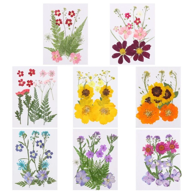 Making Resin Filler Dried Flowers Resin Mold Filling Flower Beauty Decal