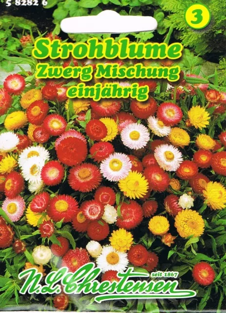 Strohblume Strohblumensamen Saatgut Chrestensen Zwergmischung Schnittblume