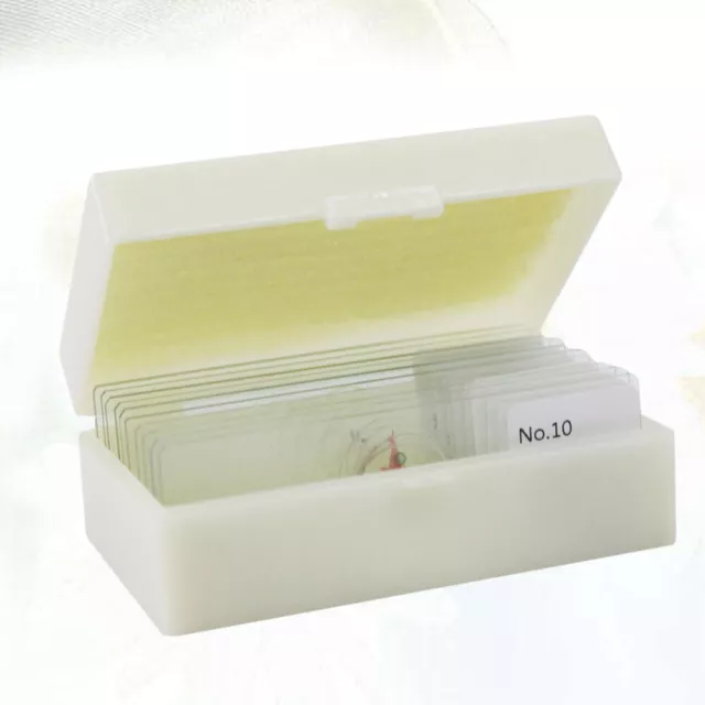 10 PCS/Set Sample Specimens Microscope Slides With Specimens