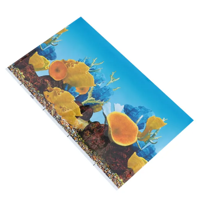 Décor De Terrarium Papier Fond Pour Aquarium D'écran Poster Décorer