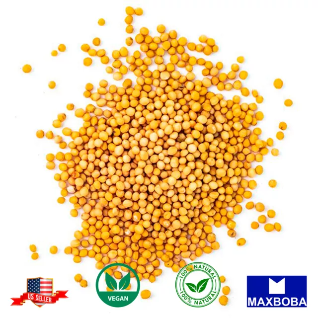 Yellow Mustard Seeds Whole Raw 100% Pure Natural Indian Spice