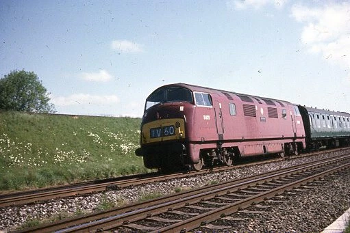 ORIGINAL COLOUR SLIDE of D809 BR Warship class diesel hydraulic loco £7 ...