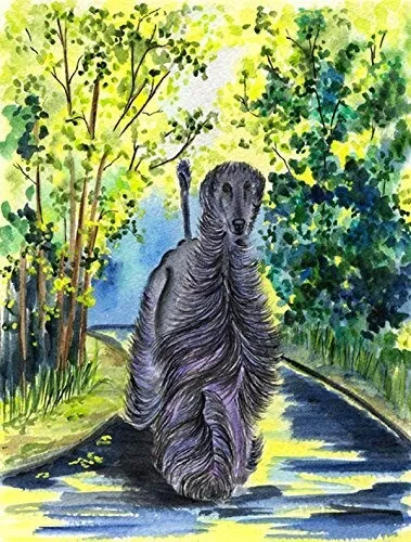 Decorative Garden Flag of Afghan Hound 10.75 x 14.5